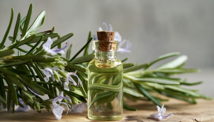 Αυτό-το-αρωματικό-βότανο-συνδέεται-με-καλύτερη-μνήμη,-λιγότερο-άγχος-και-προστασία-από-το-Αλτσχάιμερ