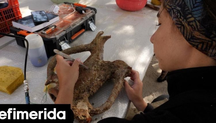 Όσα-εντόπισαν-δύτες-στον-βυθό-της-Καρπάθου:-Δύο-ναυάγια,-αγγεία-Σπουδαία-αρχαιολογικά-ευρήματα-[εικόνες]