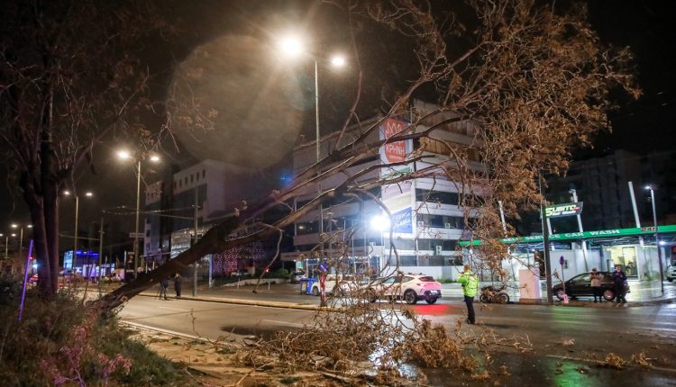 Κακοκαιρία-erminio:-Πτώσεις-δέντρων-και-διακοπές-ρεύματος-στην-Αττική-–-Πλημμύρισε-ο-Πόρος,-ήχησε-το-112-στην-Ρόδο