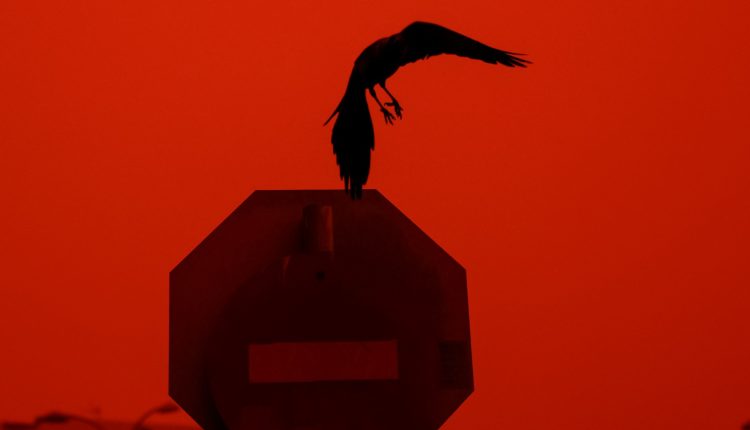 Προβλήματα-στις-αερομεταφορές-στο-Ηράκλειο-με-εκτροπές-πτήσεων-και-πολύωρη-αναμονή