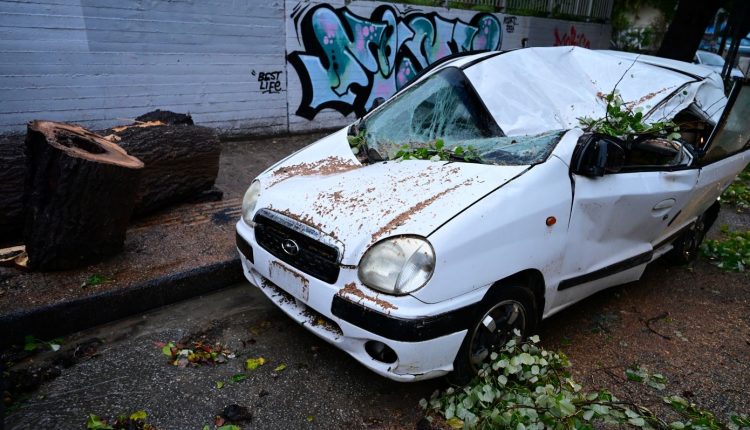 Δέντρο-ισοπέδωσε-αυτοκίνητο-στην-Ηλιούπολη-–-Δείτε-βίντεο