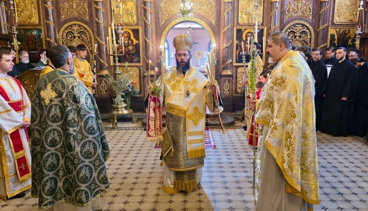 Η-Κυριακή-των-Βαΐων-στη-Βιέννη