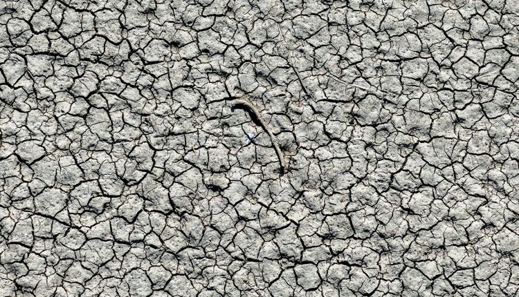 Διαχείριση-υδάτων-και-λειψυδρία:-Ένα-κρίσιμο-θέμα-στο-επίκεντρο-επιστημονικής-εκδήλωσης