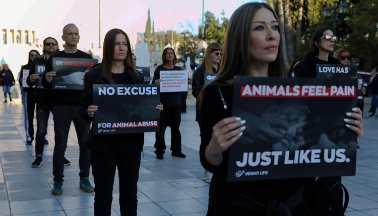 «2-εκατομμύρια-σφαγές-για-ένα-έθιμο»-–-vegans-διαμαρτύρονται-στο-Σύνταγμα-για-το-σούβλισμα-του-Πάσχα