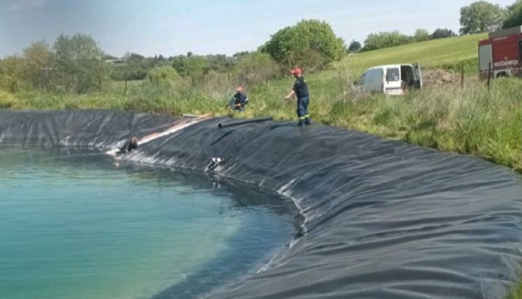 Μεγαλόσωμα-σκυλιά-εγκλωβίστηκαν-σε-ταμιευτήρα-στην-Κατερίνη-–-Το-συγκλονιστικό-βίντεο-διάσωσής-τους