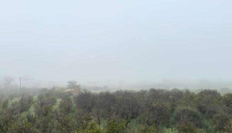 «Εξαφανίστηκε»-ο-Ταΰγετος-από-το-πυκνό-πέπλο-ομίχλης