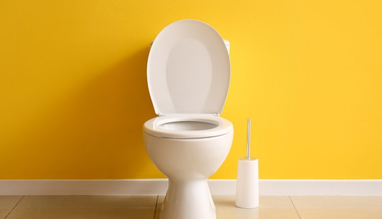 Είναι-οι-συνήθειες-σας-στην-τουαλέτα-φυσιολογικές;-Γιατρός-του-Χάρβαρντ-μιλά-για-όσα-«δυσκολεύεστε»-να-ρωτήσετε