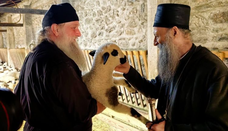 Ο-Πατριάρχης-Σερβίας-επισκέφθηκε-το-κτήμα-της-Ιεράς-Μονής-Βίσοκι-Ντέτσανι