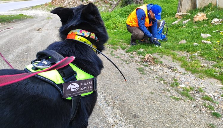 Δηλητηριασμένα-δολώματα-στον-Πάρνωνα