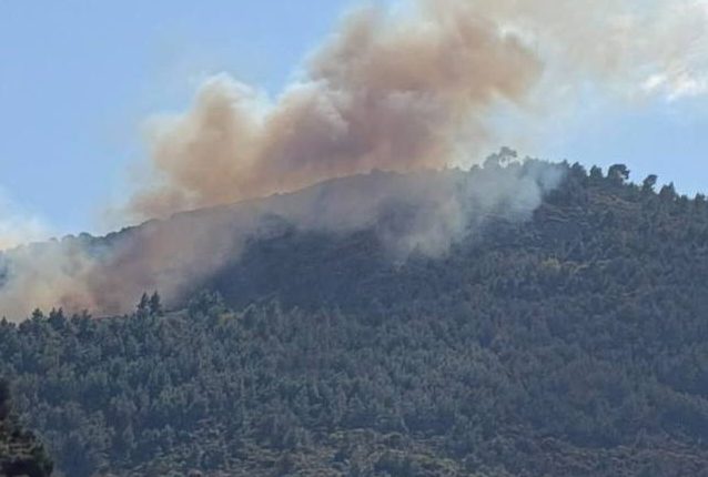 Φωτιά-στον-Άμπελο-Αχαΐας-–-Μεγάλη-κινητοποίηση-της-Πυροσβεστικής-και-μήνυμα-από-το-112