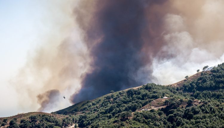 Φωτιά-σε-δασική-έκταση-στην-Άμπελο-Αχαΐας-–-Ήχησε-το-112,-οδηγίες-να-μετακινηθούν-οι-κάτοικοι-προς-Ακράτα