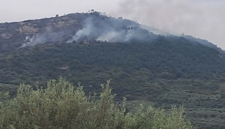 Συνελήφθη-51χρονος-για-τη-φωτιά-στην-Άμπελο-Αχαΐας