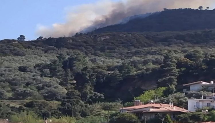 Συνελήφθη-51χρονος-για-τη-φωτιά-στην-Αχαΐα-–-Πήγε-να-κάψει-υπολείμματα-καλλιεργιών