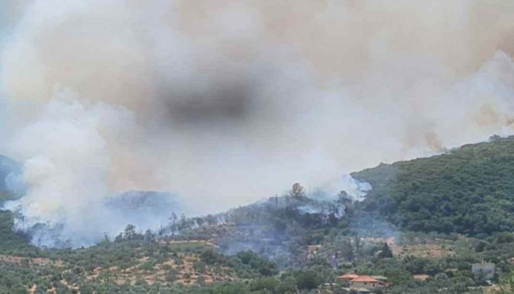 Εύβοια:-Συνελήφθη-56χρονος-για-πρόκληση-πυρκαγιάς