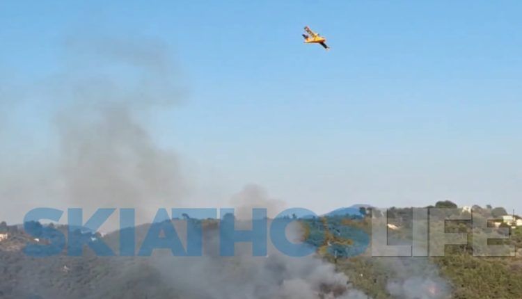 Φωτιά-στη-Σκιάθο,-σε-δασική-έκταση-στον-Πλατανιά-–-Επιχείρησαν-δύο-canadair