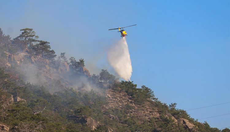 Φωτιά-σε-δασική-έκταση-στην-περιοχή-Λέπρεο-στη-Ζαχάρω-Ηλείας