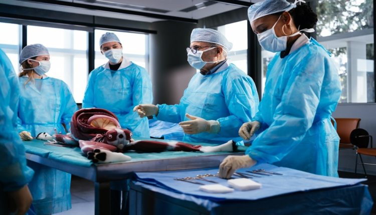 Νέα-εποχή-στις-σπουδές-Κτηνιατρικής-στην-Κύπρο