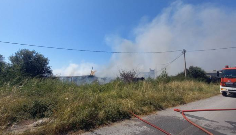 Μεγάλη-φωτιά-τώρα-στην-Καλαμάτα:-Καίγεται-επιχείρηση-–-Διεκόπη-η-κυκλοφορία
