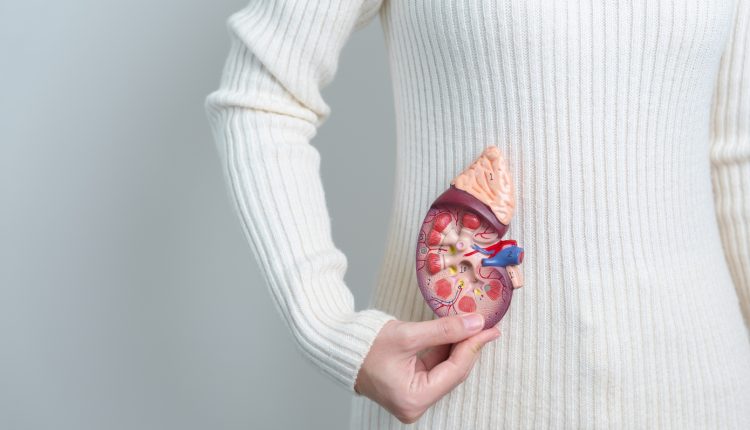 Πώς-ο-καύσωνας-επηρεάζει-την-υγεία-των-νεφρών-μας;