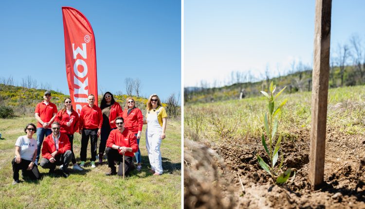 2.000-νέα-δέντρα-από-το-φυσικό-μεταλλικό-νερό-ΒΙΚΟΣ-σε-Χίο-και-Βόρεια-Εύβοια