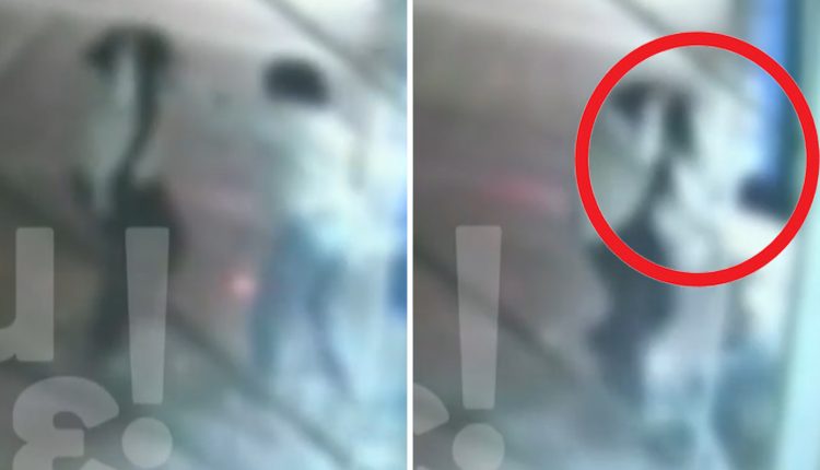 Αγία-Βαρβάρα:-Η-στιγμή-που-πέφτουν-πάνω-στη-τζαμαρία-οι-19χρονες-που-έπαιζαν-ξύλο