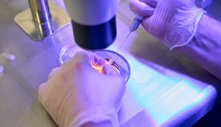 Η-επιδημία-της-ιλαράς-κλιμακώνεται-στην-Αμερική,-προειδοποιούν-ειδικοί-ενόψει-του-παγκόσμιου-κυπέλλου-ποδοσφαίρου