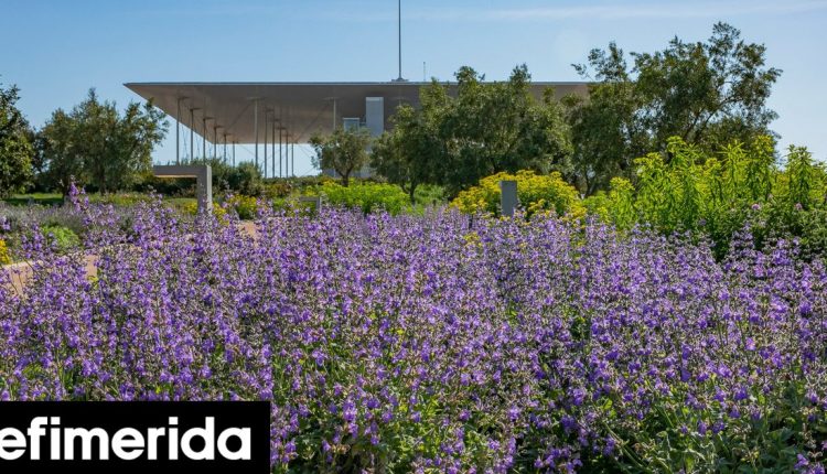 «Πιάνουμε-τον-Μάη»-στην-Αθήνα:-Με-Πασχάλη-στο-ΚΠΙΣΝ,-μαθήματα-κηπουρικής-και-πικ-νικ-στην-Ακαδημία-Πλάτωνος