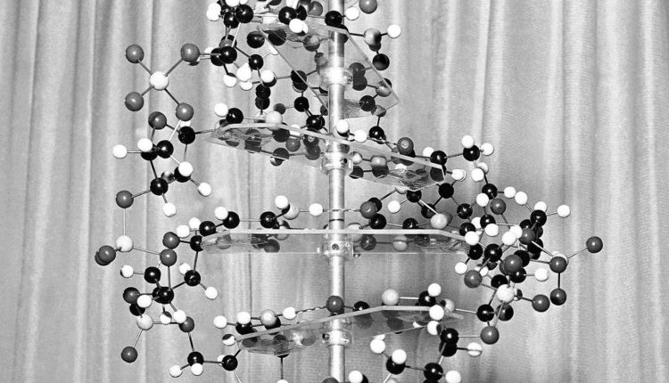 Σαν-σήμερα-25-Απριλίου:-Η-διπλή-έλικα-του-dna-και-η-επιστήμονας-που-δεν-τιμήθηκε-ποτέ