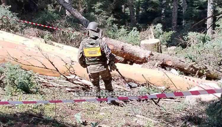 Ευρυτανία:-Εντοπίστηκε-χειροβομβίδα-του-Β’-Παγκόσμιου-Πόλεμου-σε-δάσος-από-υλοτόμους