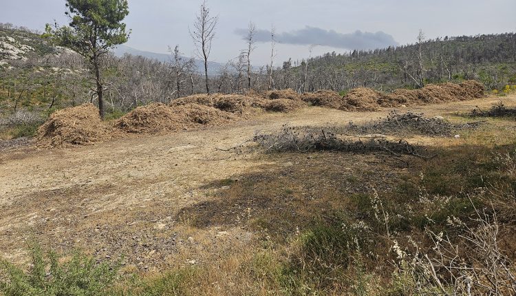 Ακαθάριστα-οικόπεδα:-Νέοι-κανόνες,-διευρυμένες-ευθύνες-και-πρόστιμα