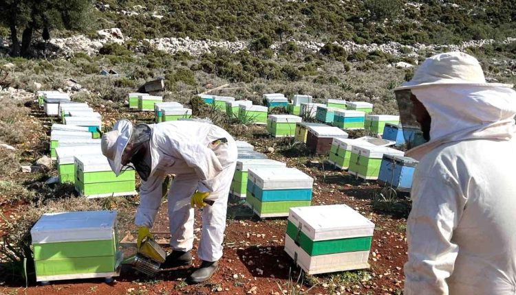 Υψηλά-ποσοστά-μη-συμμόρφωσης-στους-ελέγχους-για-την-ένταξη-σε-προγράμματα-βιολογικής-μελισσοκομίας-και-κτηνοτροφίας