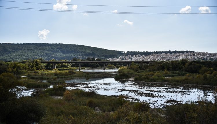 Δύο-παιδιά-εγκλωβίστηκαν-σε-καλάμια-στον-ποταμό-Άραχθο-–-Διασώθηκαν-από-την-Πυροσβεστική