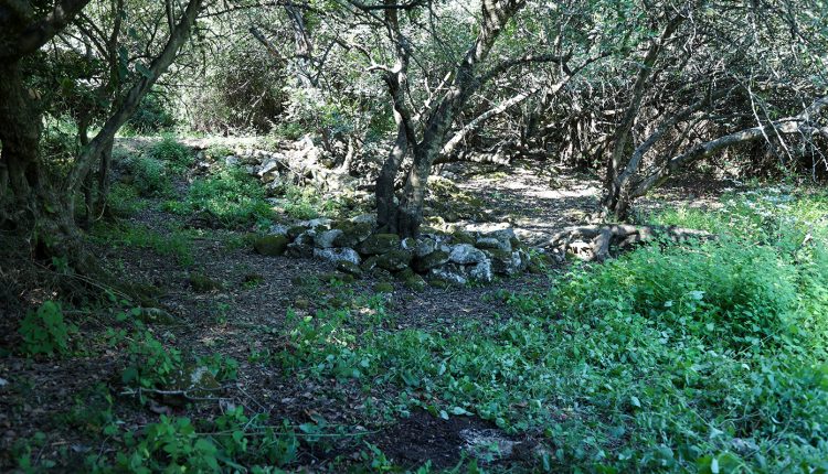 Γιατί-άργησε-τόσο-να-εντοπιστεί-η-σορός-του-33χρονου-γιατρού-–-Οι-πρώτες-εκτιμήσεις-για-τον-θάνατο-του-Αλέξη-Τσικόπουλου