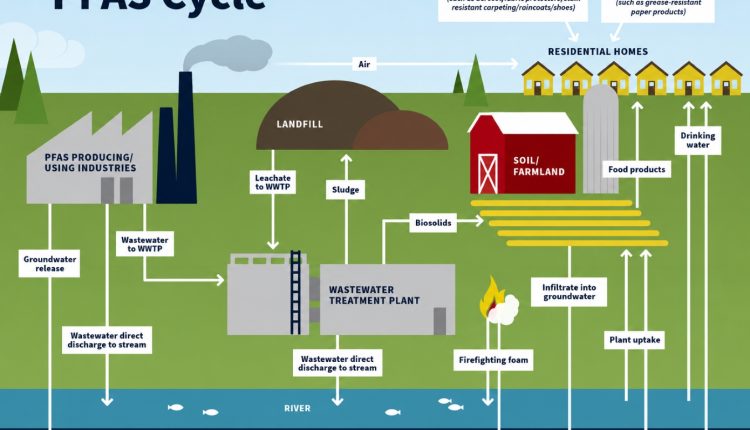 Πανδημία-pfas:-Βρέθηκαν-στο-98,8%-των-δειγμάτων-ανθρώπινου-αίματος-–-Τι-σημαίνει-αυτό-για-την-υγεία-μας