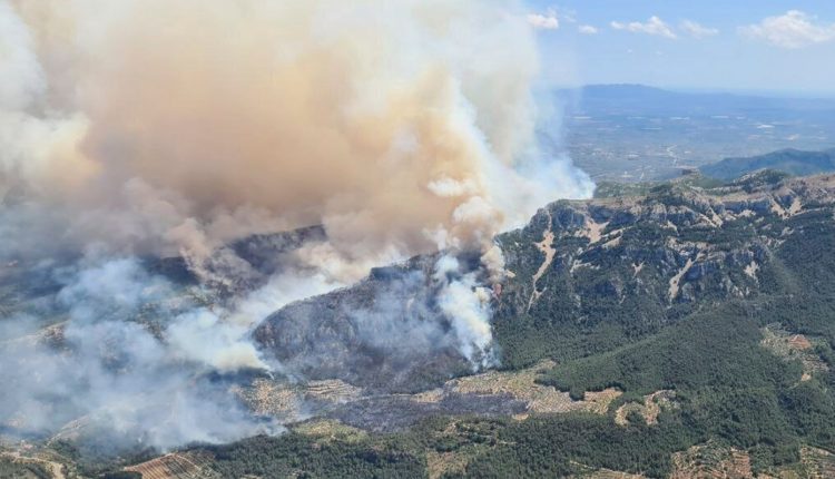 Καίνε-χόρτα-και-καταλήγουν-με-χειροπέδες:-Οι-εμπρησμοί-από-αμέλεια-στο-στόχαστρο-της-ΔΑΕΕ-για-την-αντιπυρική-περίοδο-2026