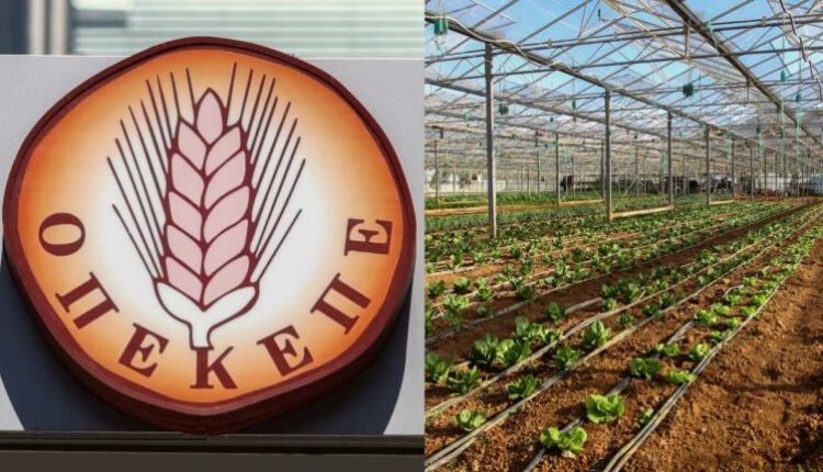 Επιχείρηση-“Θερισμός”-σε-Κοζάνη-και-Αγρίνιο-–-Τρίτο-κύκλωμα-με-παράνομες-επιδοτήσεις-ΟΠΕΚΕΠΕ