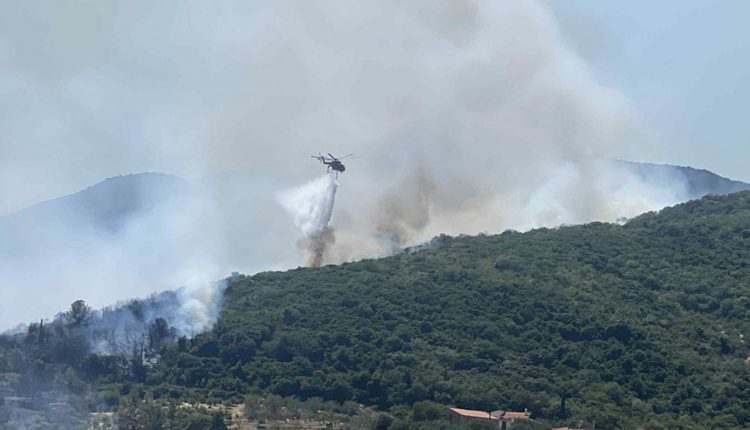 Φωτιά-σε-αγροτική-έκταση-στην-Αγία-Τριάδα-Μώλου-Φθιώτιδας-–-Επιχειρούν-και-εναέρια-μέσα