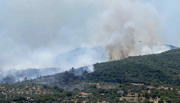 Χειροπέδες-σε-70χρονο-Γάλλο-για-τη-φωτιά-στο-Λουτράκι-–-Σε-ύφεση-το-μέτωπο