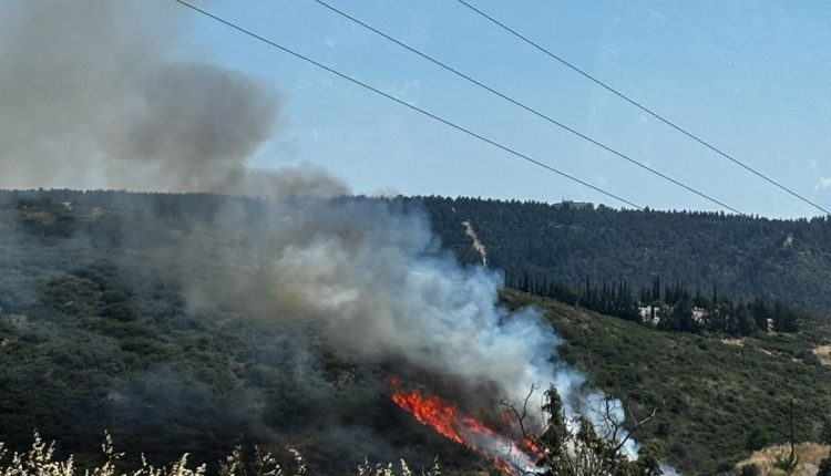 Τρεις-συλλήψεις-στη-Θεσσαλονίκη-για-τη-δασική-πυρκαγιά-στο-Φίλυρο