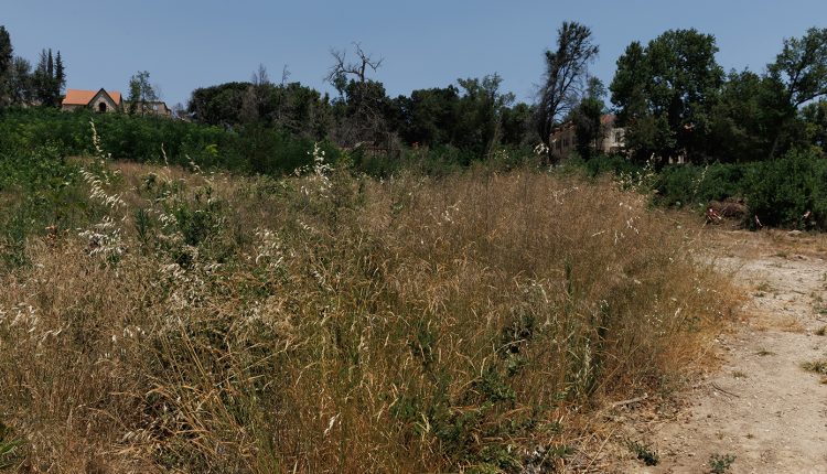 Πιθανή-παράταση-για-τα-ακαθάριστα-οικόπεδα-–-«Υπάρχει-η-δυνατότητα-να-δοθεί-λίγος-χρόνος-ακόμη»