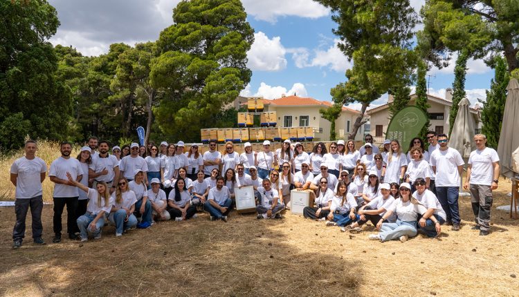 “bee-the-change”:-Η-team-aegean-γιόρτασε-την-Παγκόσμια-Ημέρα-Περιβάλλοντος,-αναλαμβάνοντας-δράση-για-την-προστασία-των-μελισσών 