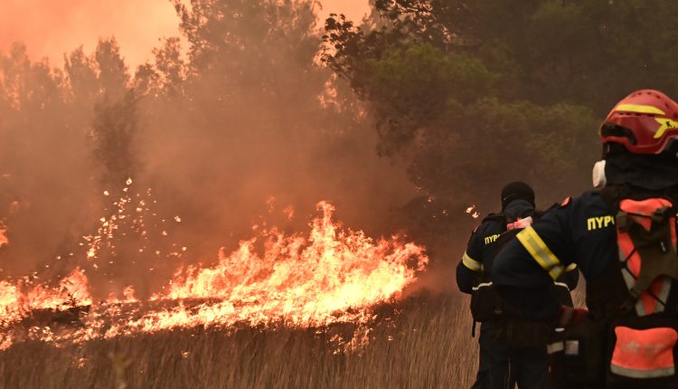 Πέντε-συλλήψεις-για-πυρκαγιές-από-αμέλεια-το-Σαββατοκύριακο-–-88-συλλήψεις-και-423-πρόστιμα-από-την-αρχή-του-έτους