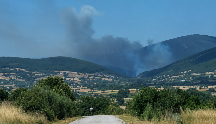 Πυρκαγιά-στην-Παλαιά-Κρωβύλη-Ροδόπης-–-Στη-μάχη-επίγειες-και-εναέριες-δυνάμεις