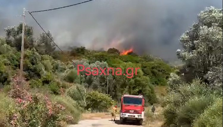 Φωτιά-τώρα-σε-δασική-έκταση-στον-Αλμυροπόταμο-Ευβοίας,-σηκώθηκαν-εναέρια-μέσα-–-Ήχησε-το-112