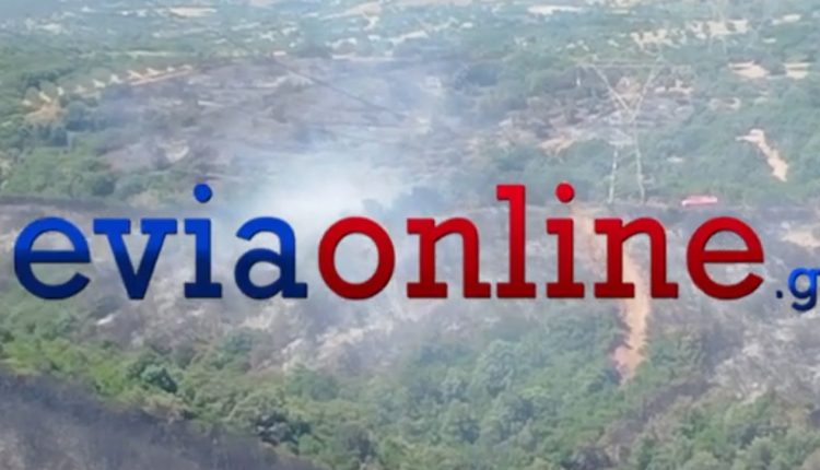 Αναζωπυρώθηκε-η-φωτιά-στην-Εύβοια-–-Τα-στοιχεία-που-«δείχνουν»-εμπρησμό