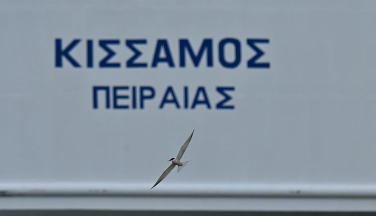 Σε-εξέλιξη-ο-έλεγχος-για-το-αξιόπλοο-του-Ε/Γ-Ο/Γ-«Κίσσαμος»-–-Το-πλοίο-προσάραξε-τα-ξημερώματα-σε-αβαθή-στη-Μήλο