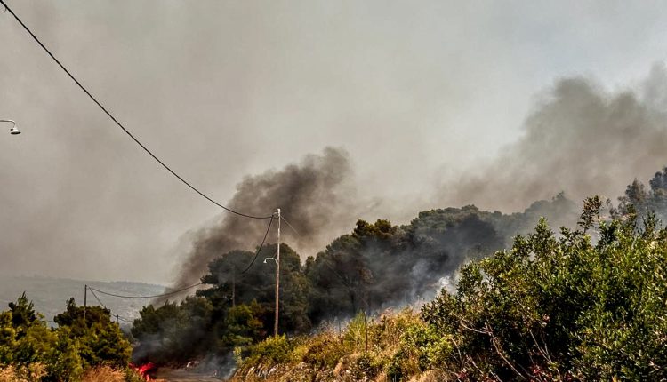 Δασική-πυρκαγιά-στον-Άγιο-Βασίλειο-Βοιωτίας-–-Στη-μάχη-πυροσβέστες,-αεροσκάφη-και-ελικόπτερα