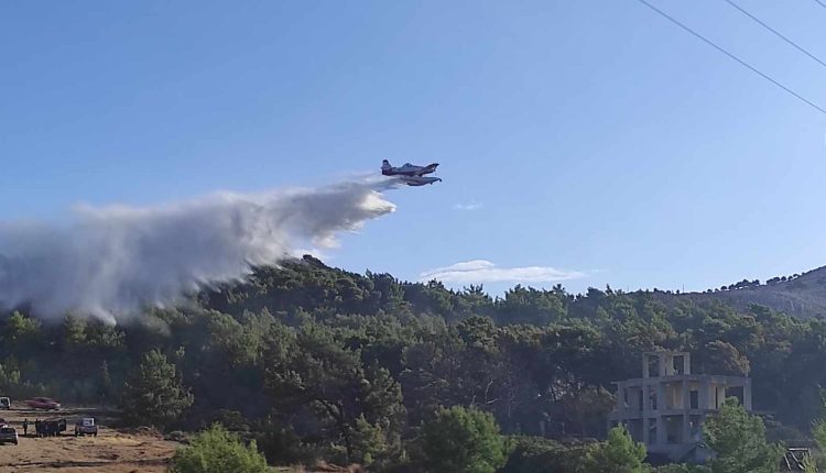 Ναύπακτος:-Φωτιά-σε-δασική-έκταση-στην-Κάτω-Μαμουλάδα-–-Στη-«μάχη»-κατάσβεσης-τρία-εναέρια-μέσα