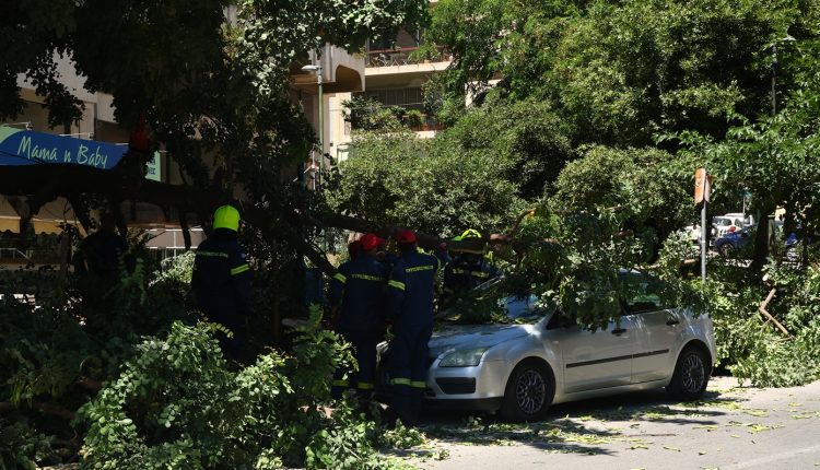 Οι-άνεμοι-έριξαν-δέντρο-που-καταπλάκωσε-όχημα-στη-Μιχαλακοπούλου-–-Απεγκλωβίστηκε-ο-οδηγός-–-Καταγράφηκαν-ριπές-124χλμ/ώρα