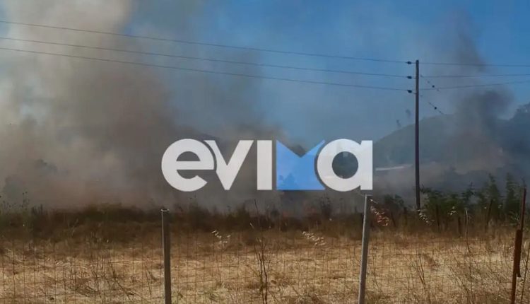 Φωτιά-τώρα-στην-Εύβοια-στην-περιοχή-Σπαθάρι-–-Σηκώθηκαν-εναέρια-μέσα